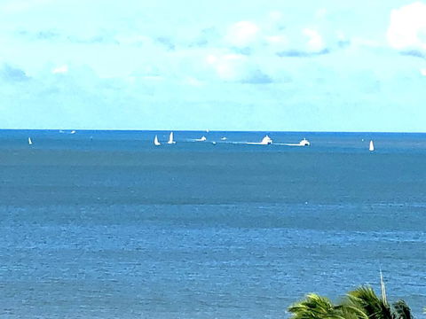 Cairns Apartment Esplanade Ocean Views - Tourism Cairns 2