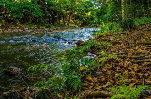 Cairns Homestead: A Peaceful Getaway - Tourism Cairns 3