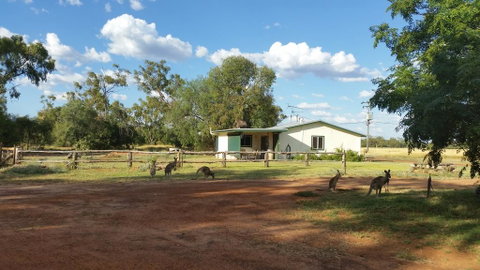 Charleville Bush Cottage - Tourism Cairns 1