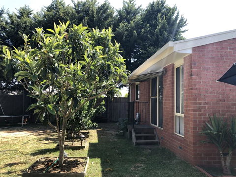 Charlie Sweet Home At Mornington Peninsula - Tourism Cairns 1