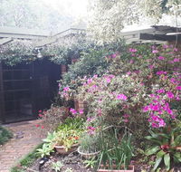 Charming country house close to Grafton - Tourism Cairns
