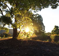 Clarendon Forest Retreat - Tourism Cairns