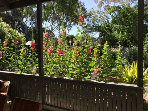Clarevale Cottage B&B - Tourism Cairns 1