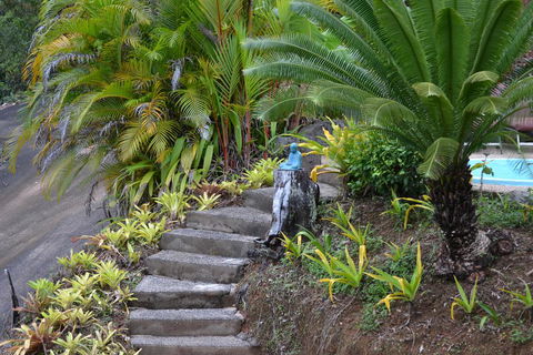 Cloud 9 - Tourism Cairns 1