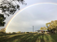 Book Napoleons Accommodation Vacations Tourism Cairns Tourism Cairns