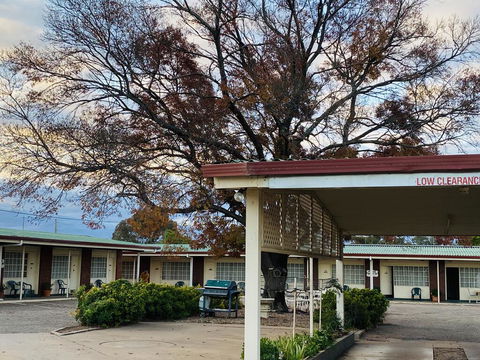 County Lodge Motor Inn - Tourism Cairns 2