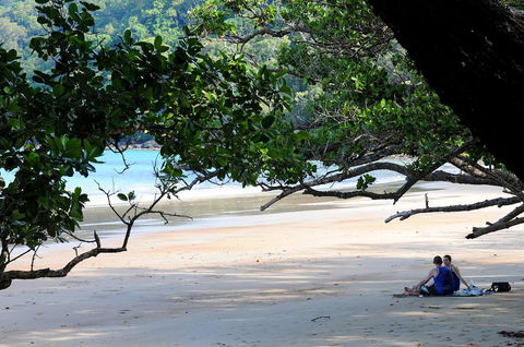 Cow Bay Homestay B&B - Tourism Cairns 1