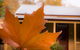 Creek Cottage - thumb 3