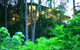 Crystal Creek Rainforest Retreat - thumb 1
