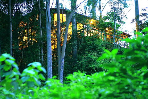 Crystal Creek Rainforest Retreat - Tourism Cairns 1