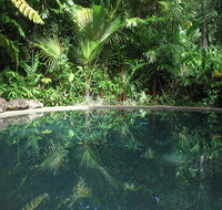 Daintree Rainforest Retreat Motel - Tourism Cairns