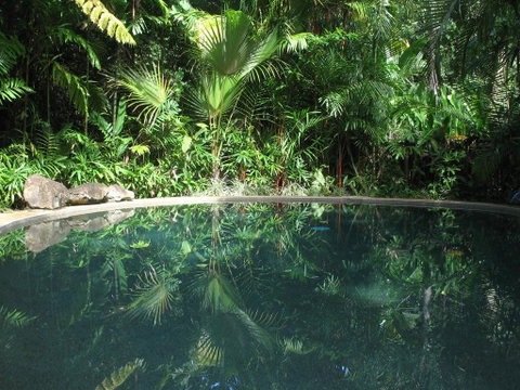Daintree Rainforest Retreat Motel - Tourism Cairns 0