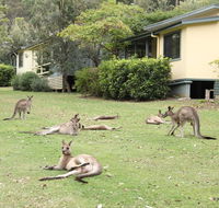 Depot Beach Cabins - Tourism Cairns