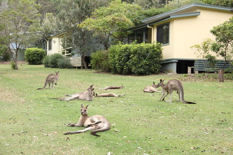 Depot Beach Cabins - Tourism Cairns 0