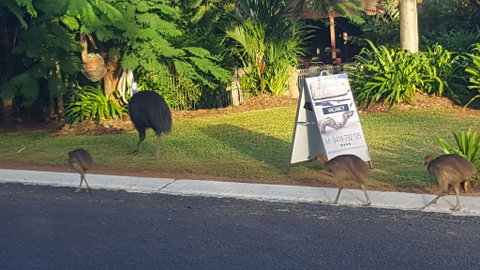 Driftwood Bed And Breakfast - Tourism Cairns 1