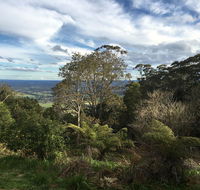 Dunrose - Tourism Cairns