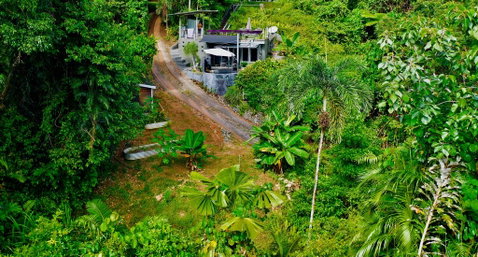 Earthship Daintree - Tourism Cairns 2