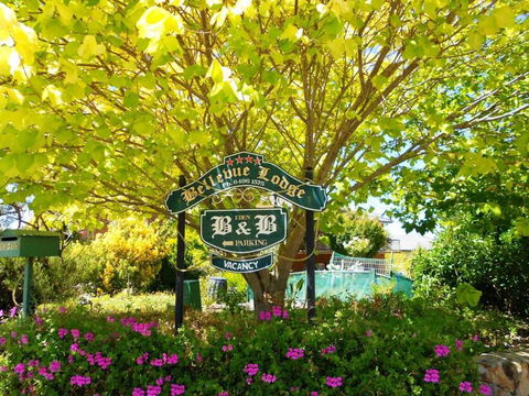 Eden Bed & Breakfast - Tourism Cairns 0