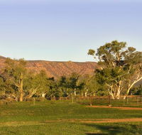 Edeowie Station - Tourism Cairns