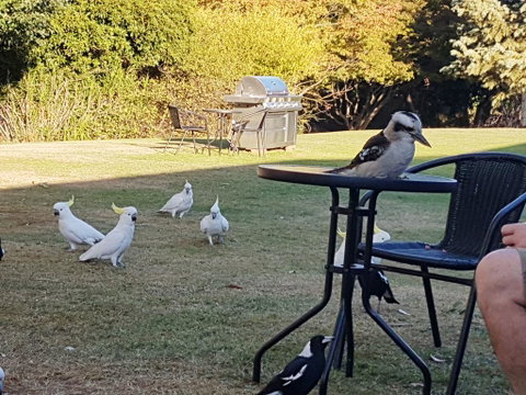 Eildon Parkview Motor Inn - Tourism Cairns 0