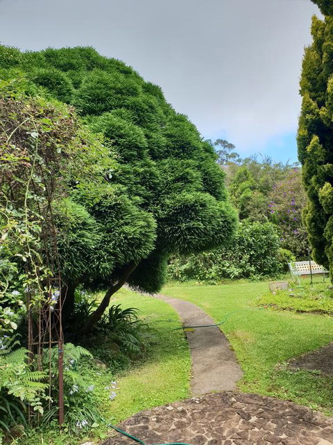 English Gardens - Forest Spa Suite - Tourism Cairns 0