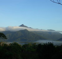Epiphyte B  B - Tourism Cairns