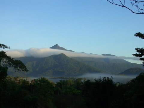 Epiphyte B & B - Tourism Cairns 0