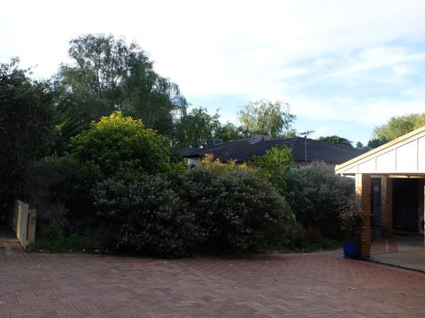 Esperance Seafront Holiday Units - Tourism Cairns 3