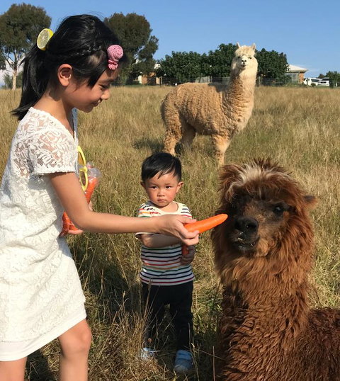 Farm Accommodation - Tourism Cairns 3