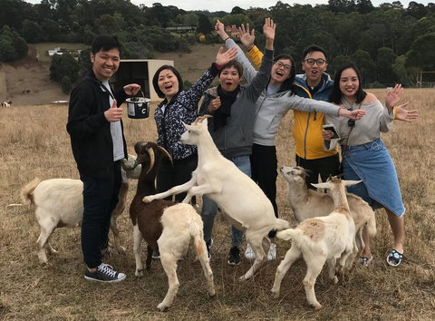 Farm Accommodation - Tourism Cairns 1