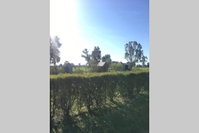 Book Benalla Accommodation Vacations Tourism Cairns Tourism Cairns