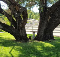 Farm Stay Studio - Tourism Cairns