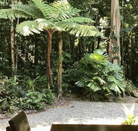 Forest Views Daintree - Tourism Cairns