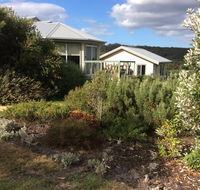 Forrest Willy Wagtail Studio - Tourism Cairns