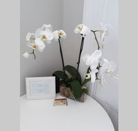 Gawler Heritage Accommodation - Tourism Cairns