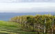 Geelong Serviced Apartments - thumb 1