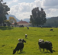 Glenmurray - Country farm stay - Tourism Cairns