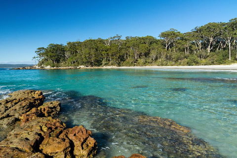 Gorgeous Beachside Cottage Jervis Bay - Tourism Cairns 0