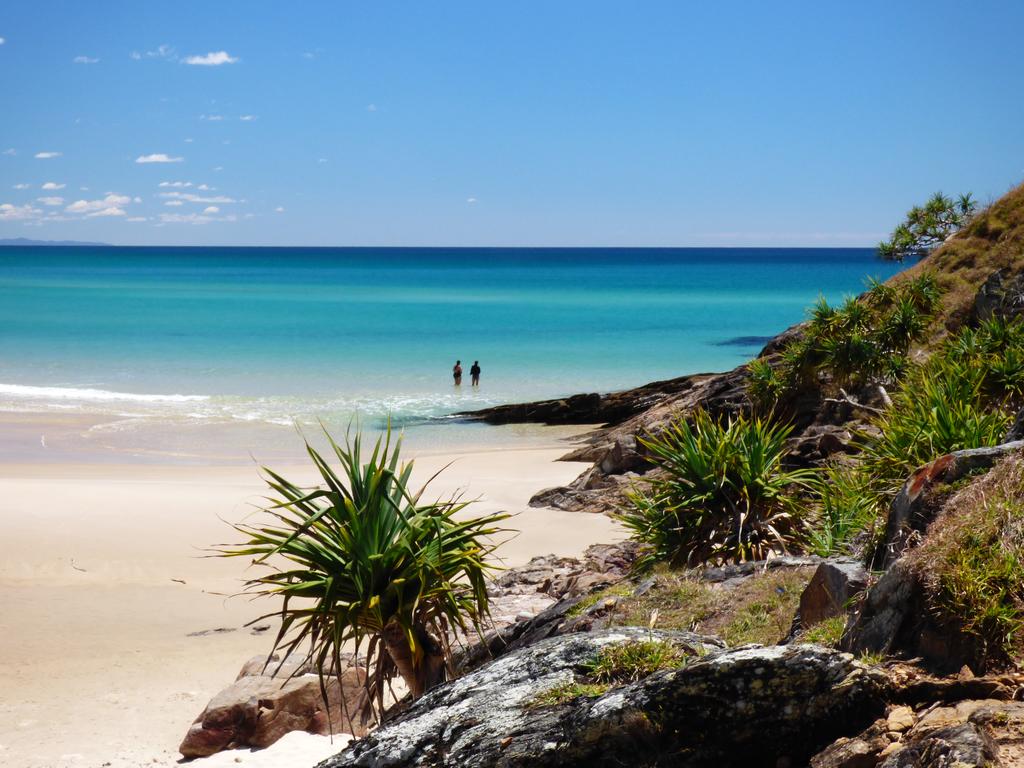 Brinerville ACT Tourism Cairns