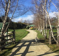 Green Gables BB - Tourism Cairns