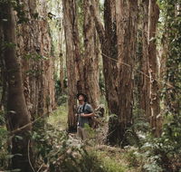 Habitat Noosa - Tourism Cairns