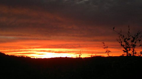 Highwood Park B&B Guest Lodge - Tourism Cairns 2