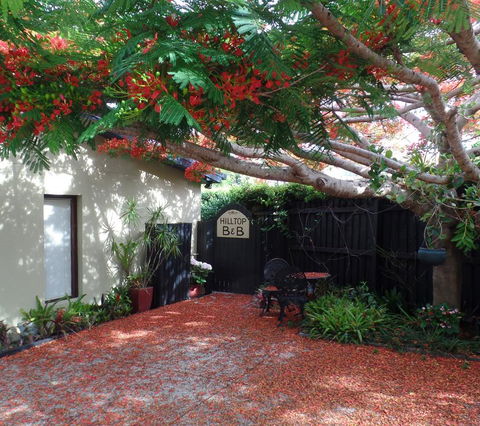 Hilltop B&B - Tourism Cairns 2