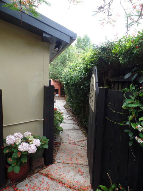 Hilltop B&B - Tourism Cairns 3