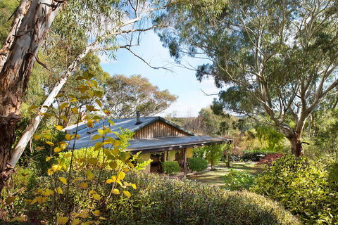 Italian Hill - Tourism Cairns 3