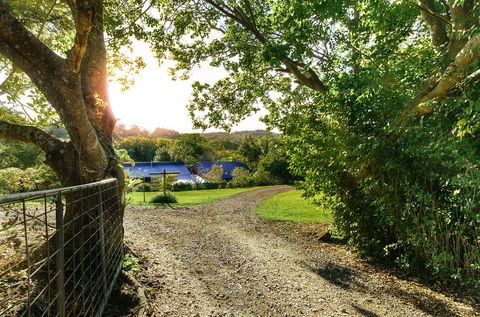 Jacaranda Cottages - Tourism Cairns 2
