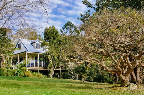 Jacaranda Cottages - Tourism Cairns 0