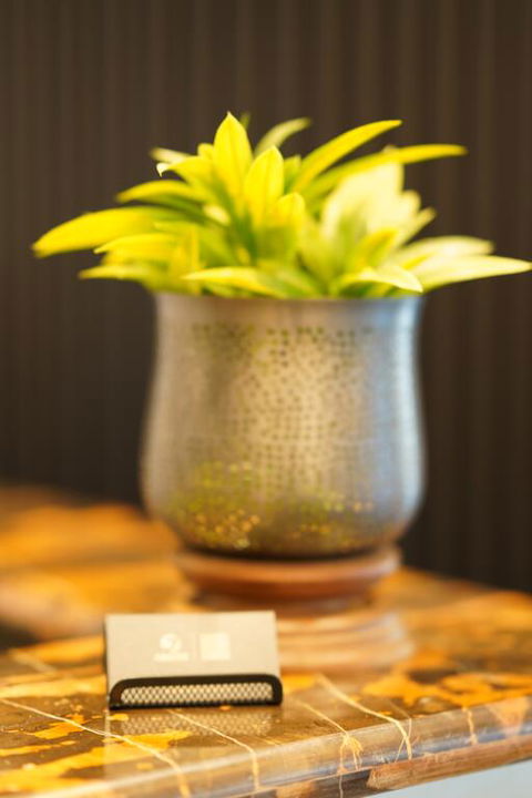 Jephson Hotel & Apartments - Tourism Cairns 3