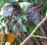 Karma Cottage - Tourism Cairns