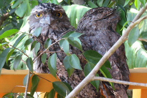 Karma Cottage - Tourism Cairns 0